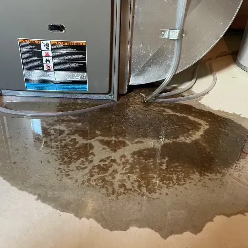 Appliance Leak Cleanup in Rushville, IL